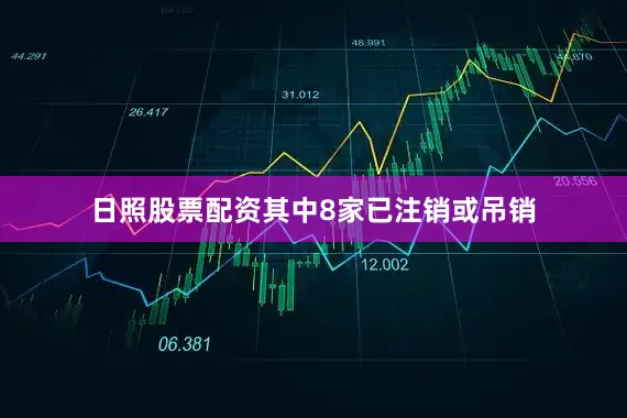 日照股票配资其中8家已注销或吊销