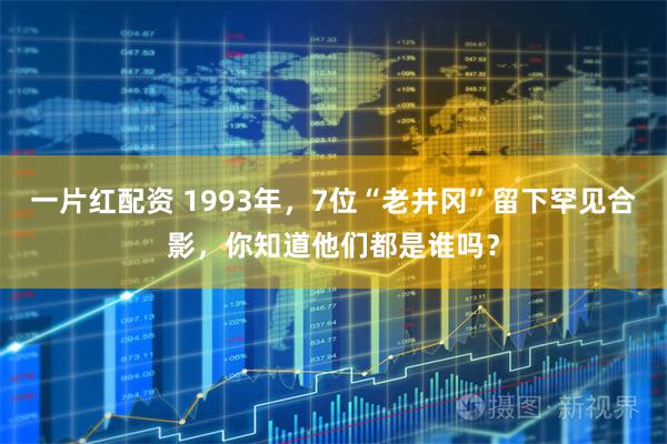 一片红配资 1993年，7位“老井冈”留下罕见合影，你知道他们都是谁吗？