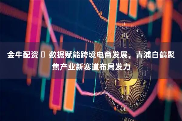 金牛配资 ​数据赋能跨境电商发展，青浦白鹤聚焦产业新赛道布局发力