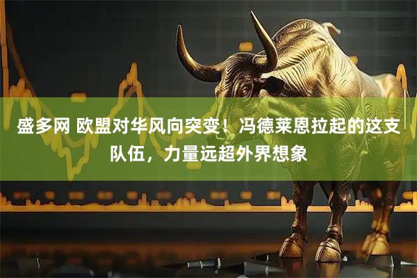 盛多网 欧盟对华风向突变！冯德莱恩拉起的这支队伍，力量远超外界想象